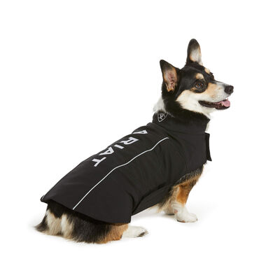 Team Softshell Dog Jacket